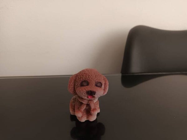 Bougie Chien