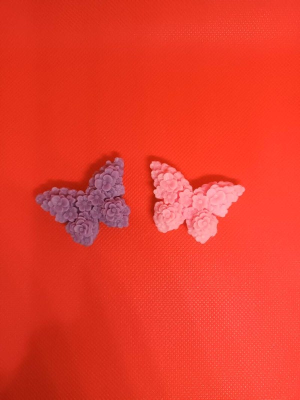 Papillon avec des Roses