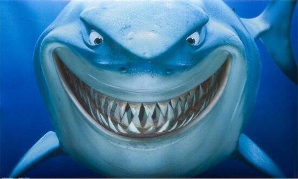 Disney Pixar Finding Nemo Poster – Haai (51 x 31 cm)