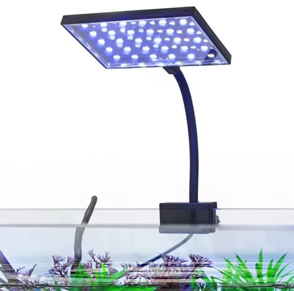 LED Aquariumverlichting
