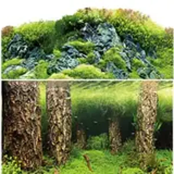 Hobby Scaper's Hill/Scaper's Aquarium Achtergrondposter