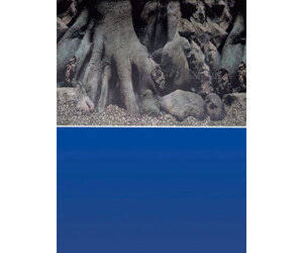 SuperFish Deco Poster D – Aquarium Achtergrond 2-in-1