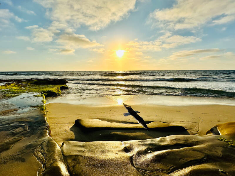 La Jolla Sunset