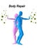 body repair