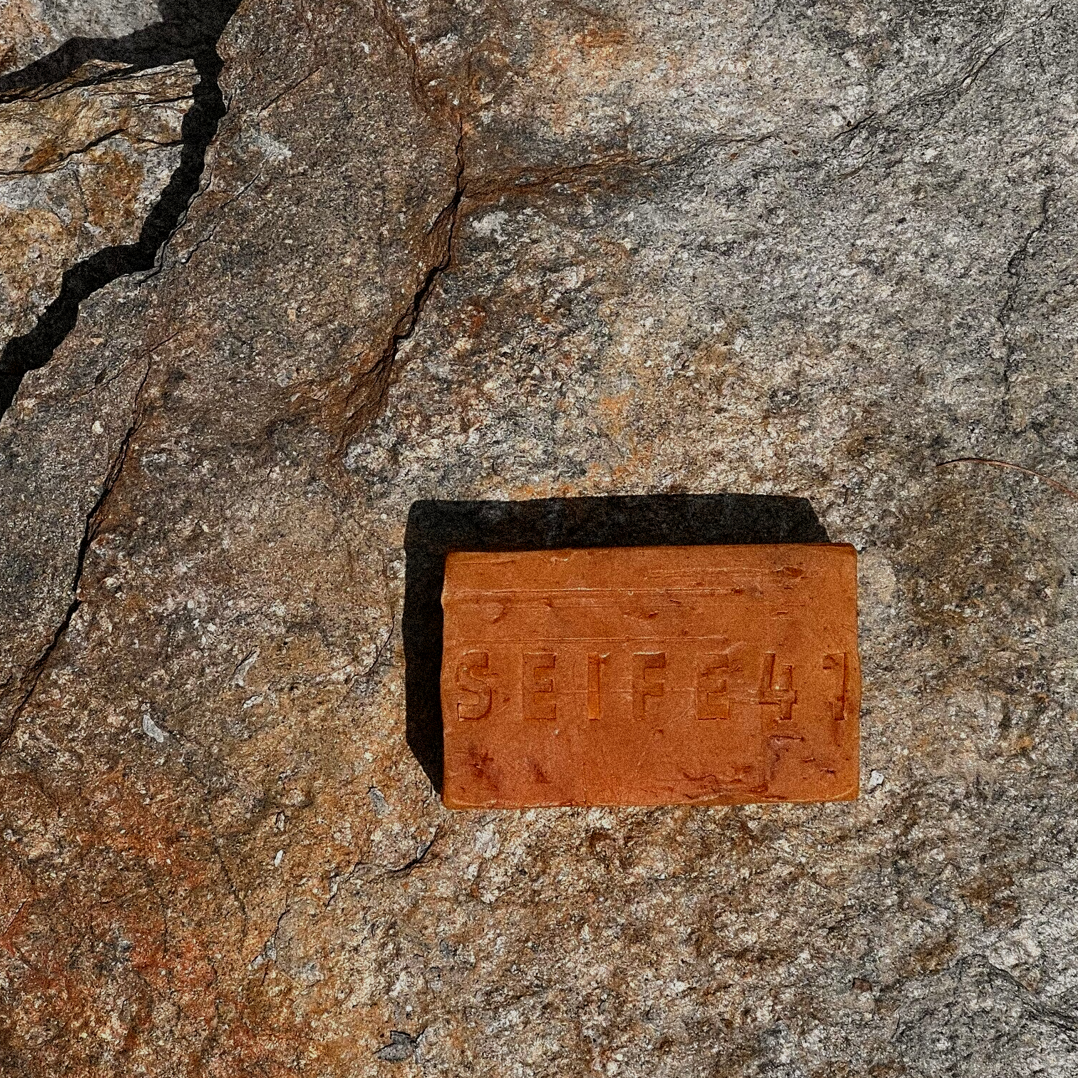 Wilde Rose - Duschseife