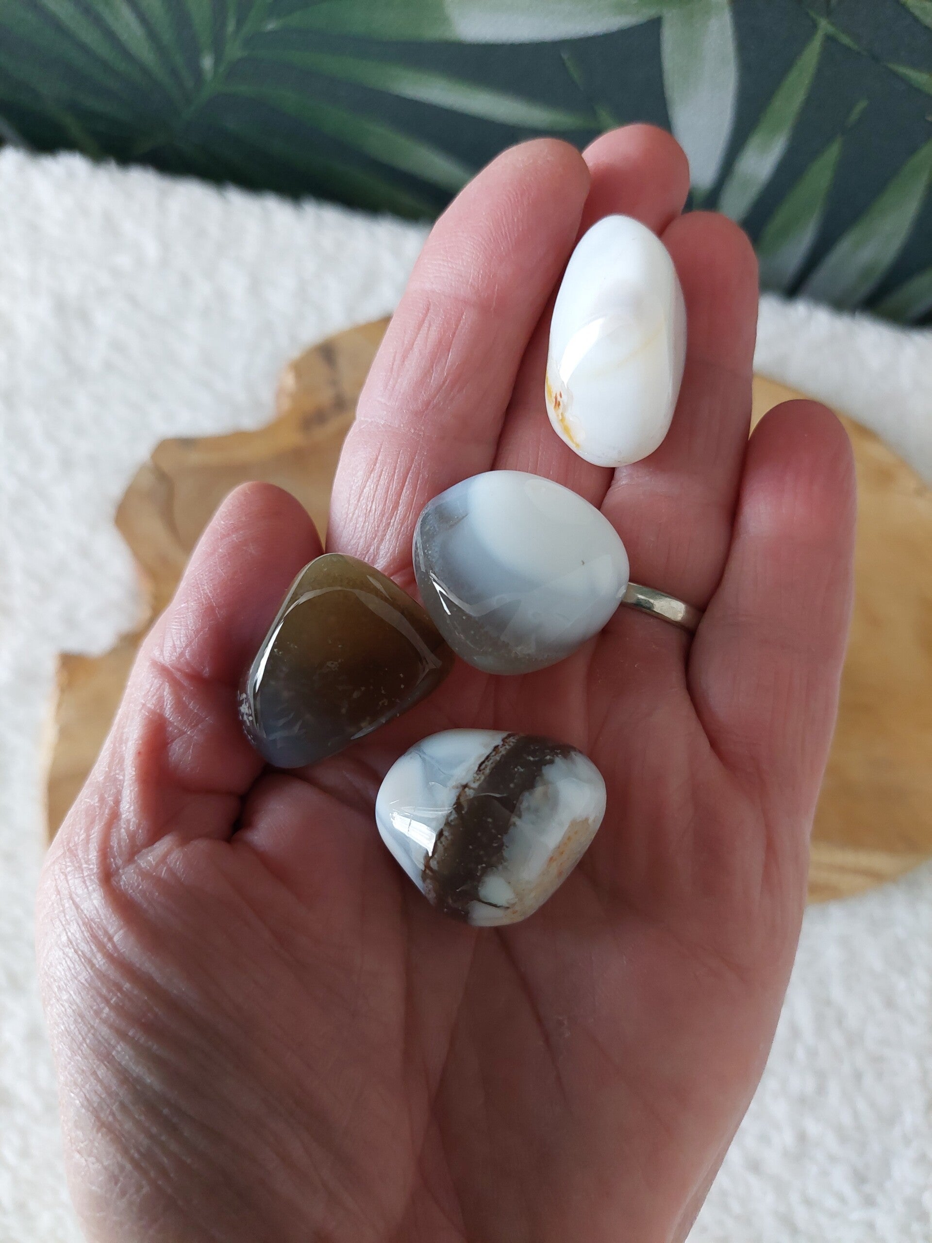 Witte opaal trommelsteen