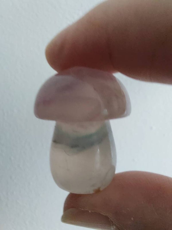 Fluoriet paddenstoeltje