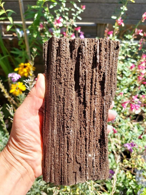 Gekristalliseerd versteend hout