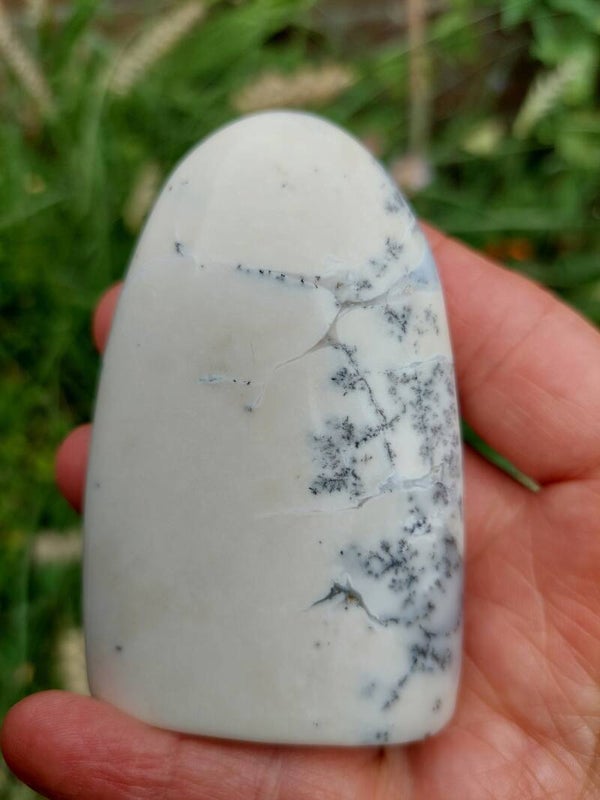 Opaal dendriet freeform 02