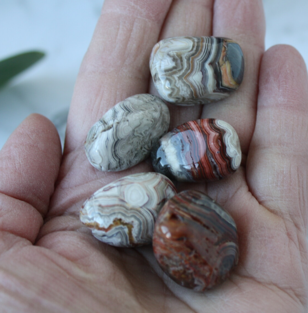 Crazy lace agaat trommelsteen