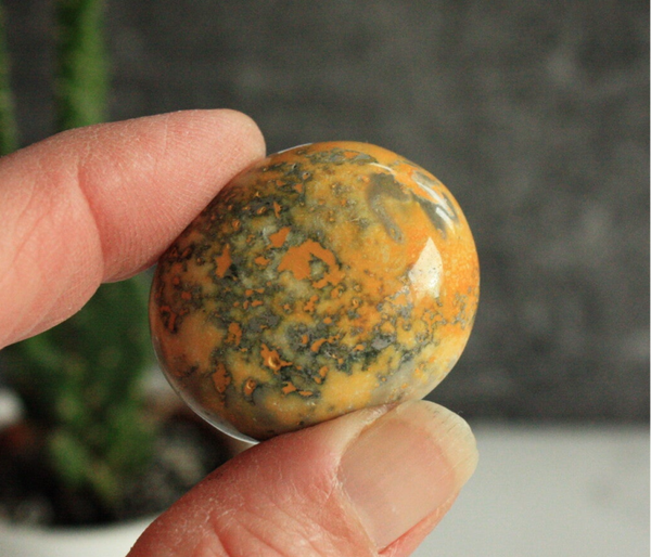 Jaspis bumblebee trommelsteen 01