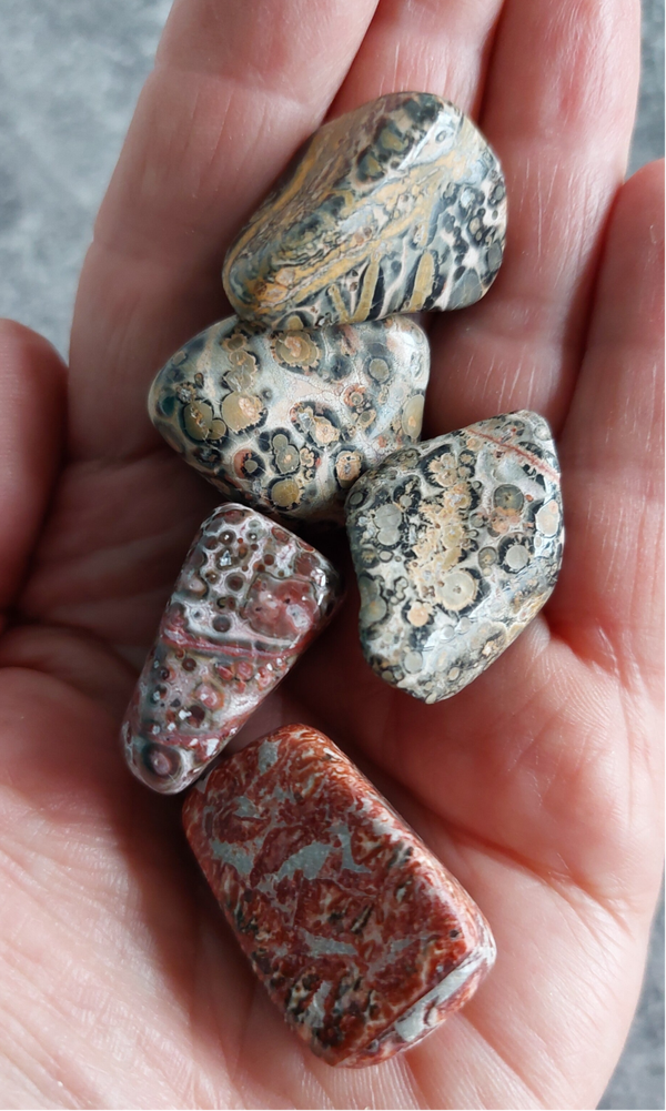 Jaspis luipaard trommelsteen