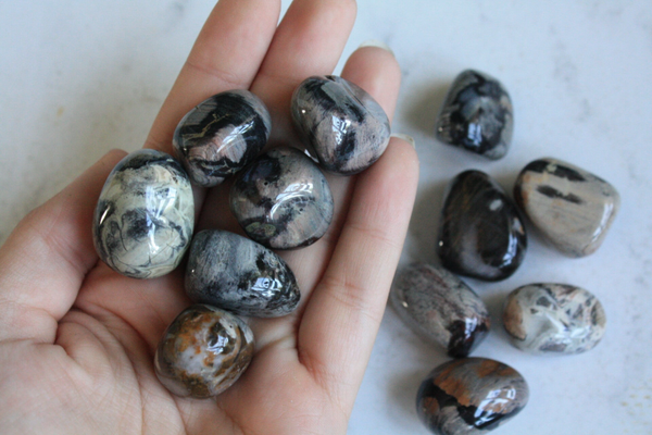 Jaspis silver leaf black trommelsteen