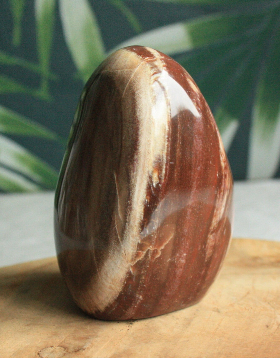 Versteend hout freeform 01