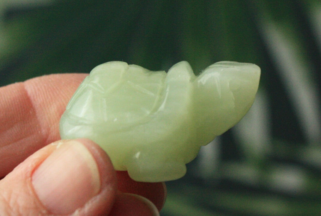 Serpentijn schildpad