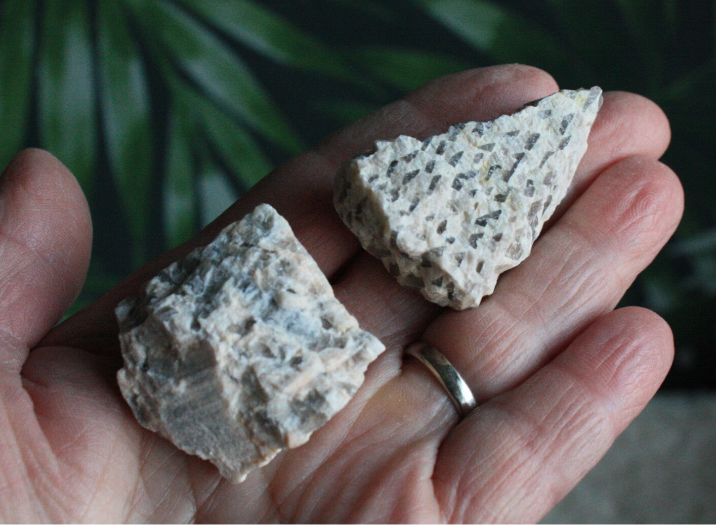 Zebra veldspaat ruw stukje