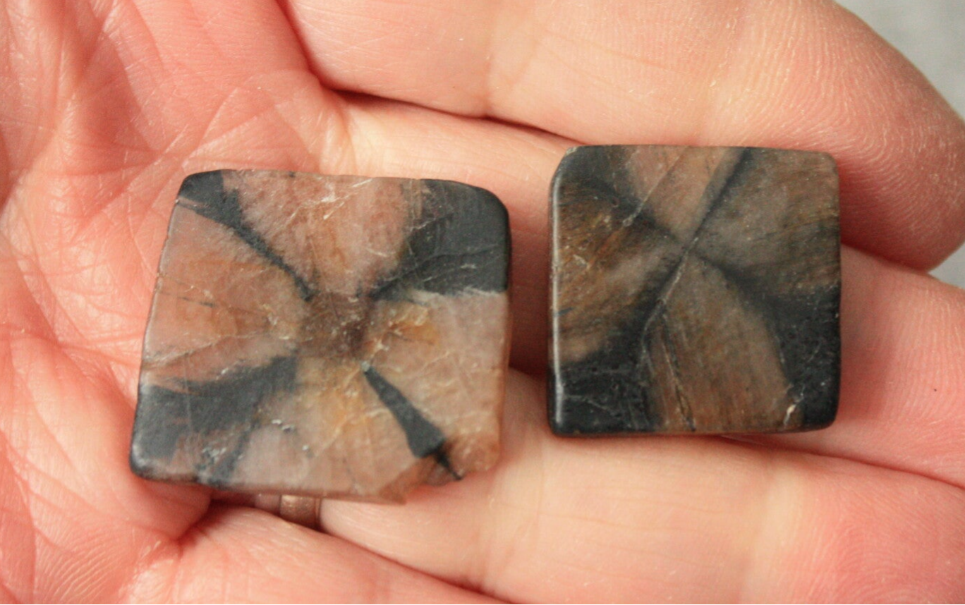 Chiastoliet schijfje