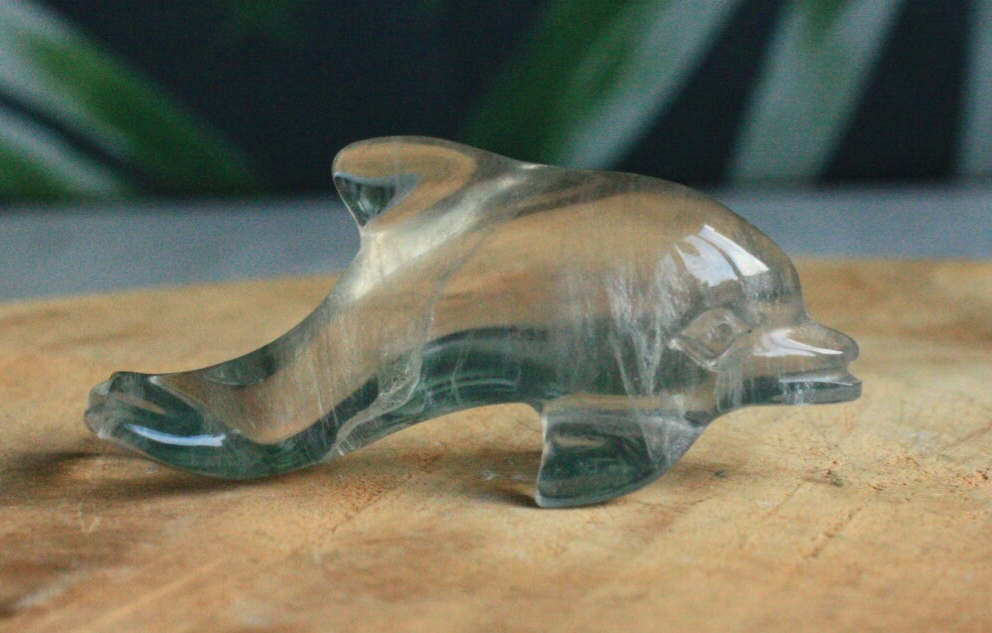 Fluoriet dolfijntje 01