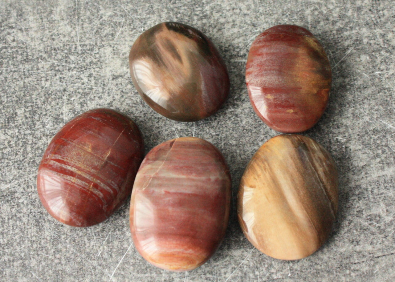 Versteend hout handsteen