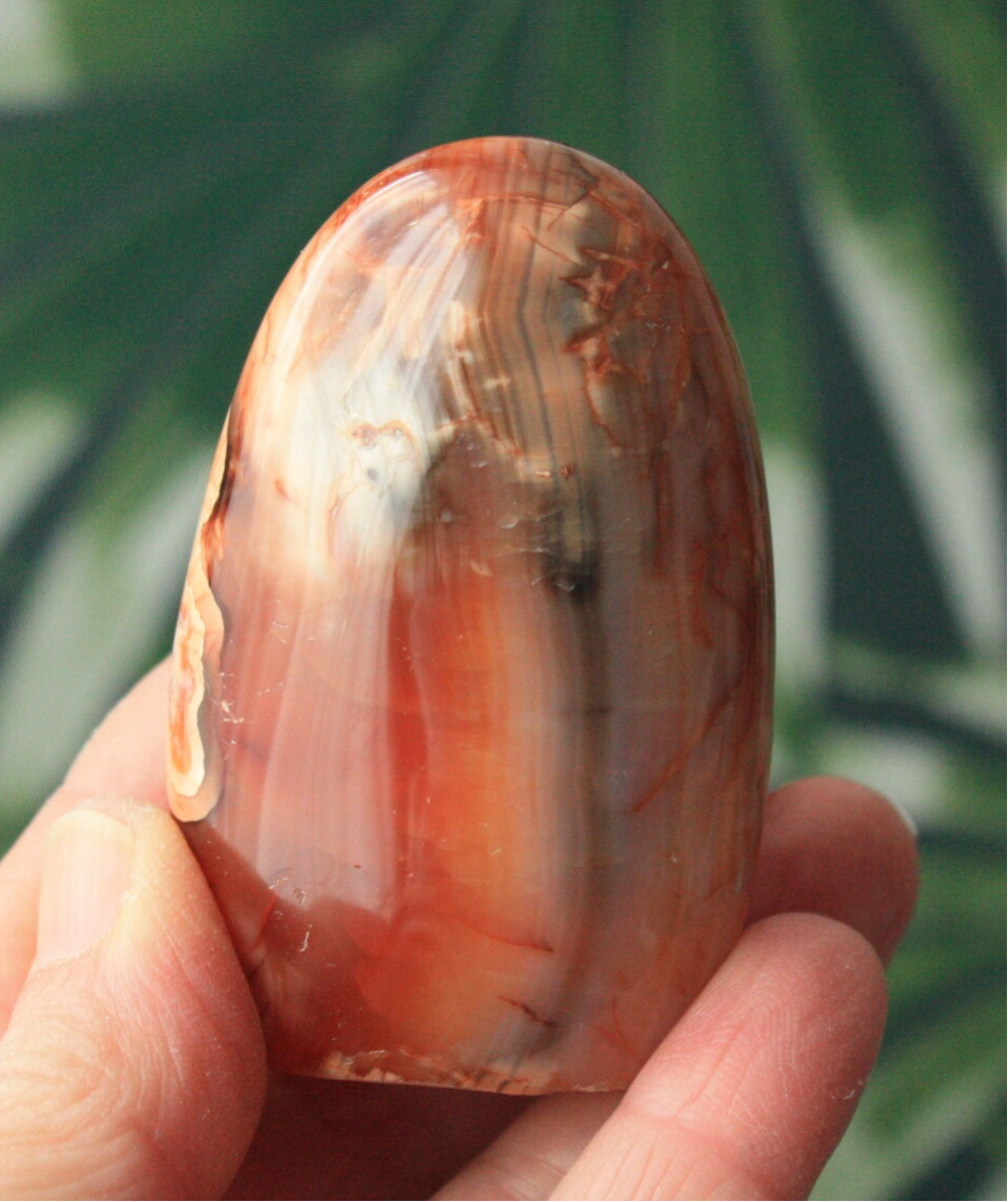 Carneool freeform 04