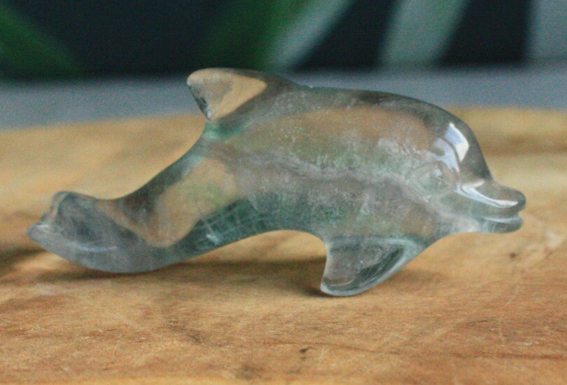 Fluoriet dolfijntje 02