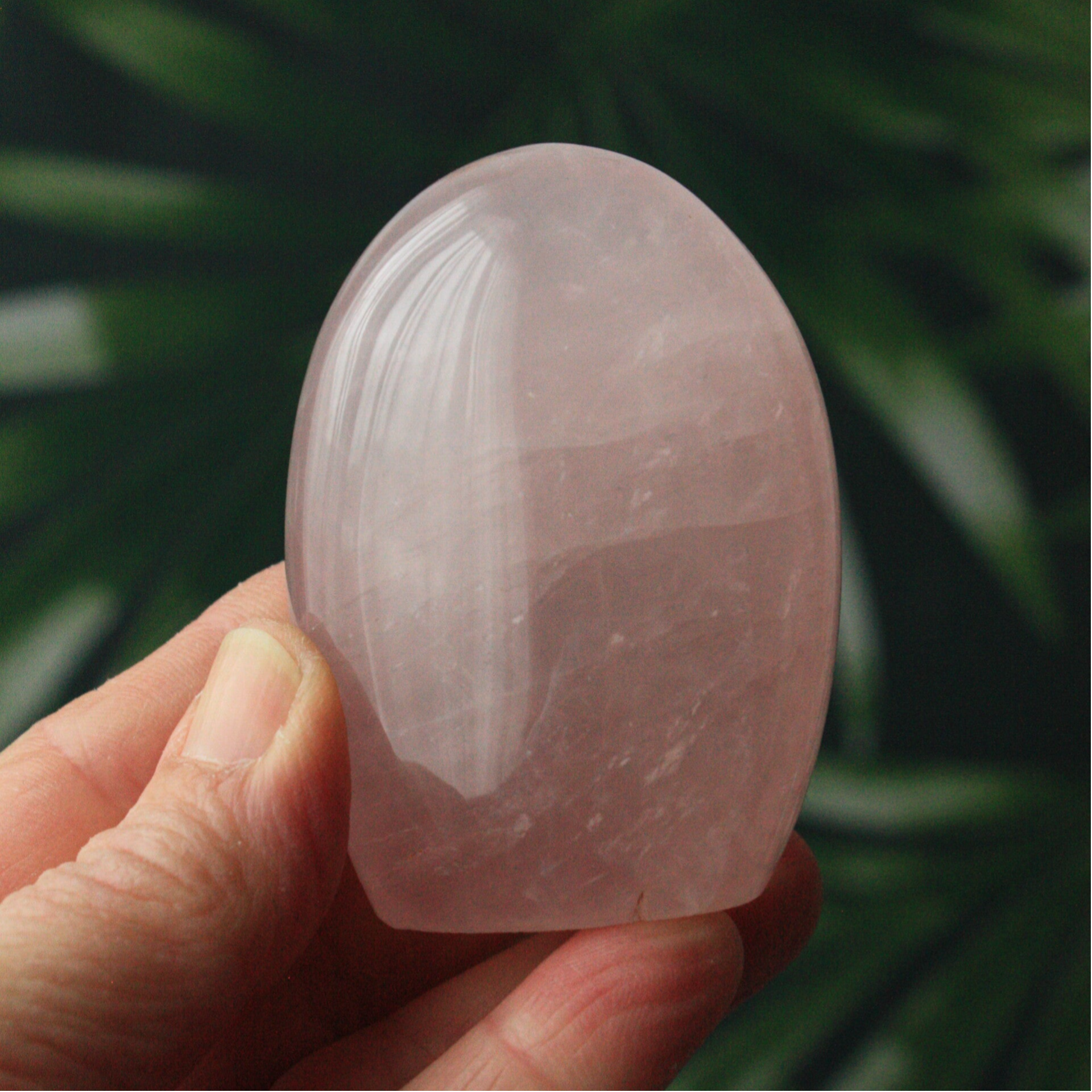 Rozenkwarts freefrom 02