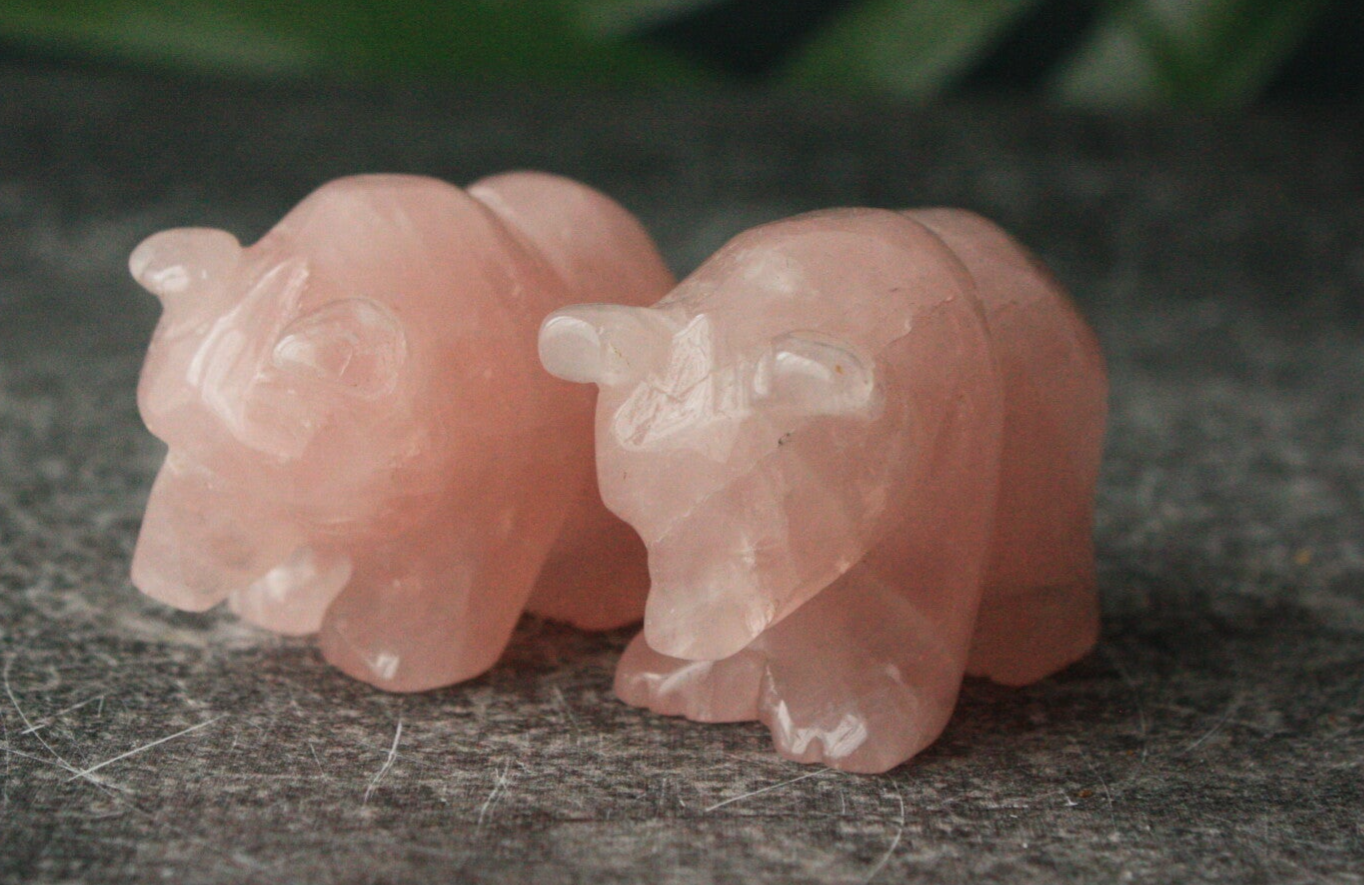 Rozenkwarts beertje