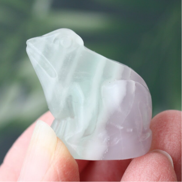 Lavendel fluoriet kikker