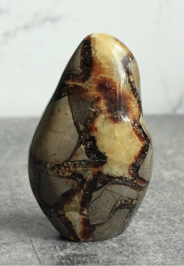 Septarie freeform 05