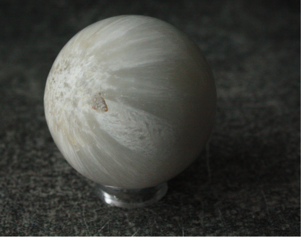 Scoleciet bol 01