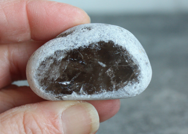 Rookkwarts ema egg 01