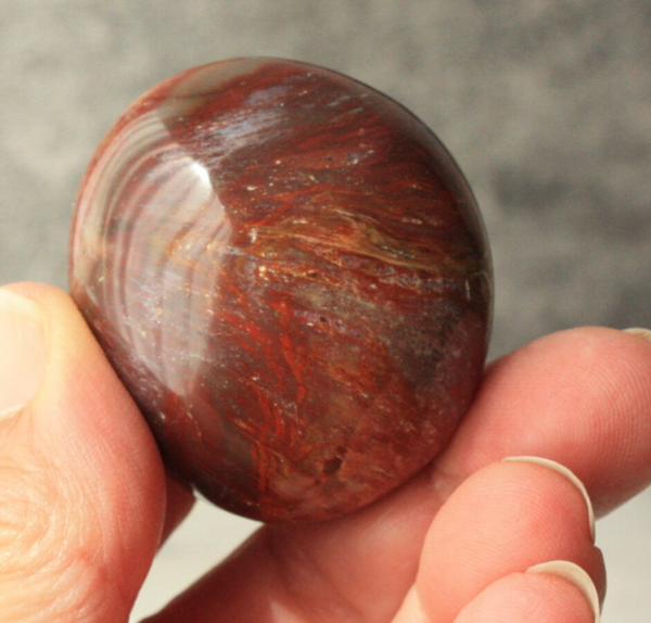 Versteend hout handsteen 01