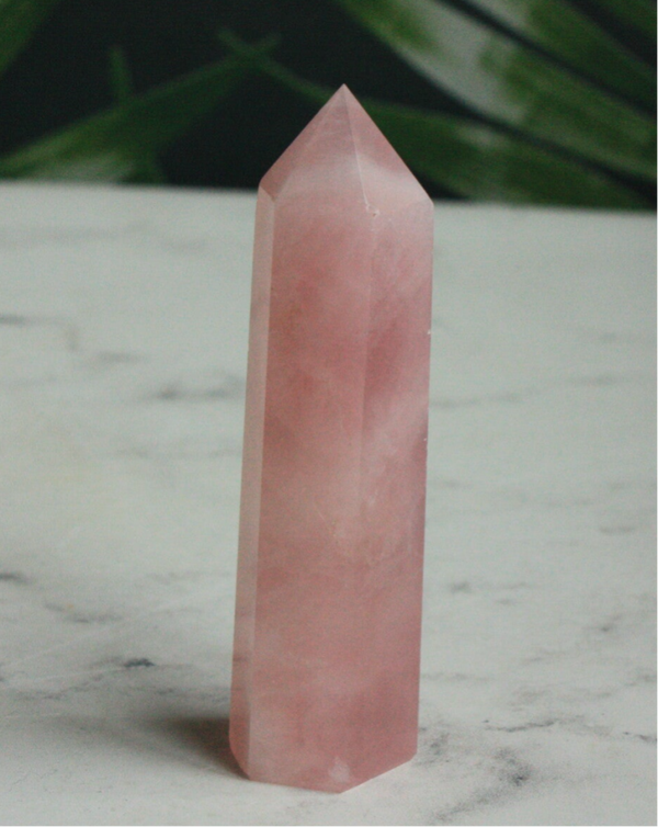 Rozenkwarts toren 02