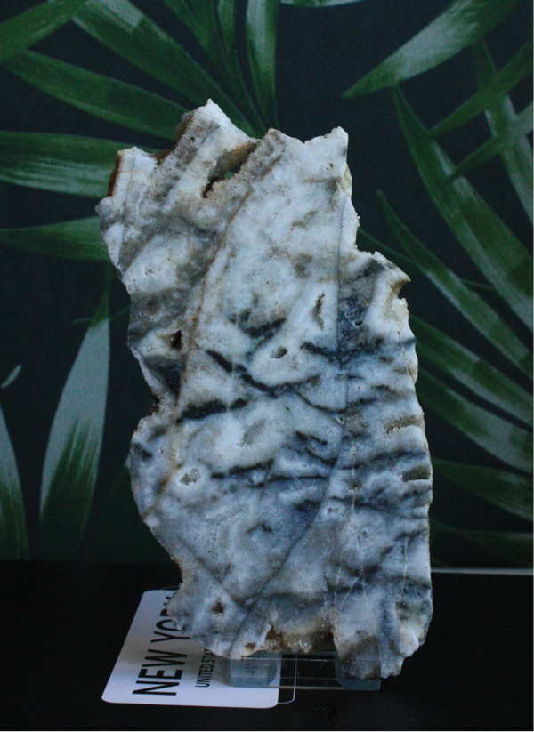 Chalcedoon schijf 01