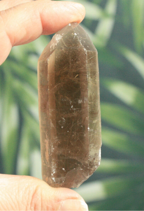 Rookkwarts met rutiel 07