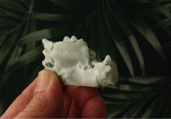 Boom agaat drakenhoofd