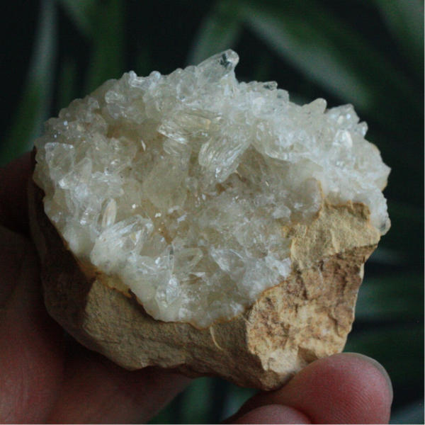 Calciet cluster 02