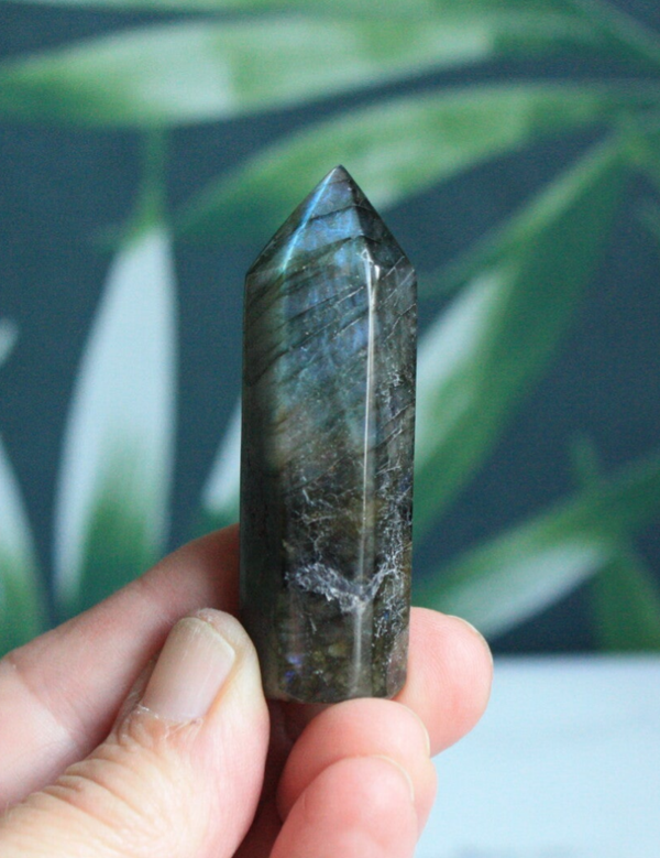 Labradoriet toren 04