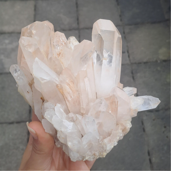 Red healer cluster 01