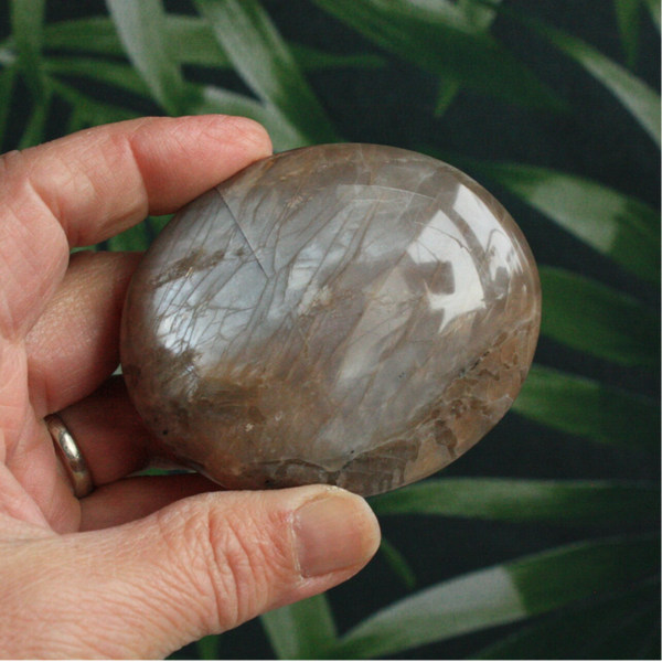 Maansteen palmsteen 03