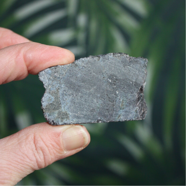 Gabbro merliniet 02