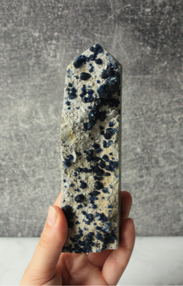 Blue Berry fluoriet toren 01