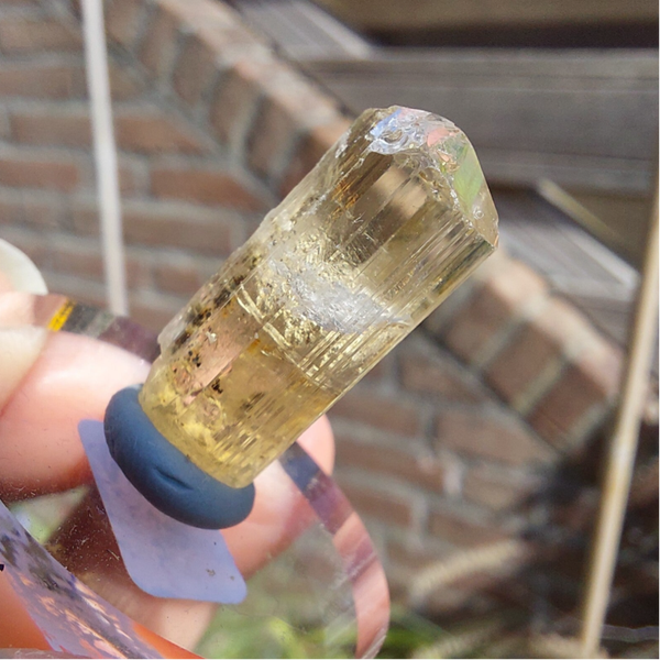 Scapoliet op sokkel 04