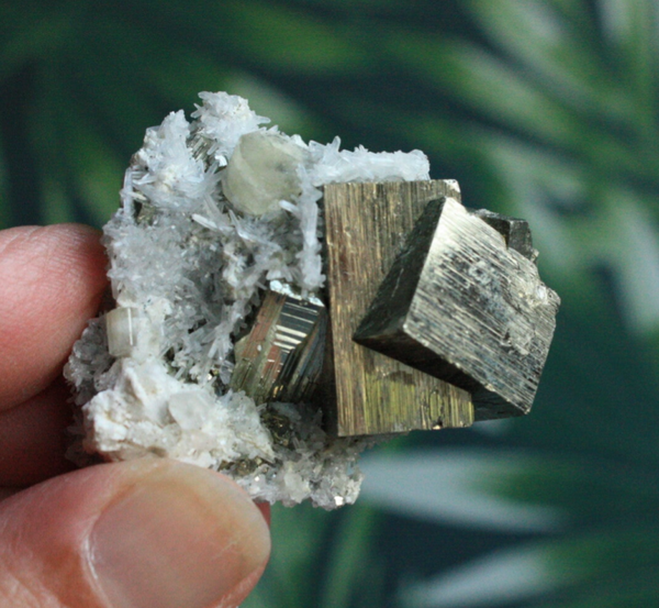 Pyriet met sfaleriet cluster 02