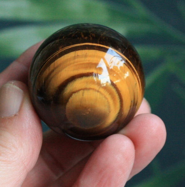 Tijgeroog bol 01