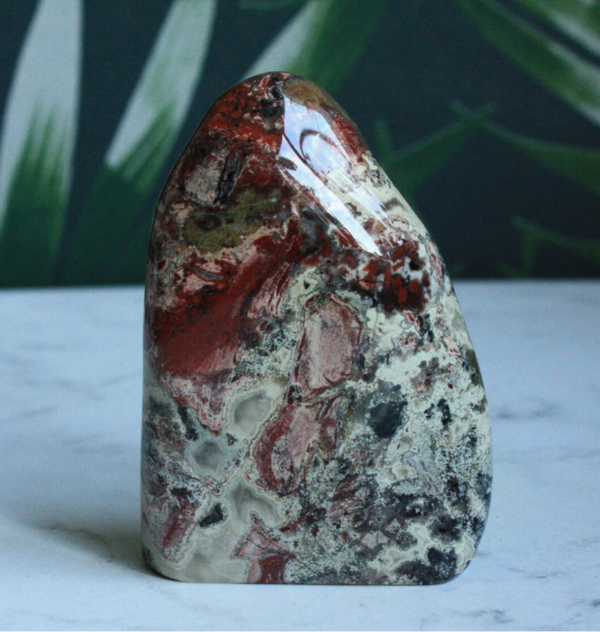 Silver leaf red jaspis freeform 02