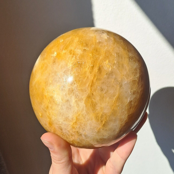 Golden healer bol 01 XL