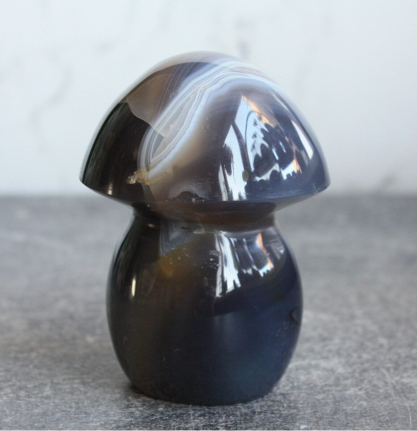 Agaat paddenstoel 01