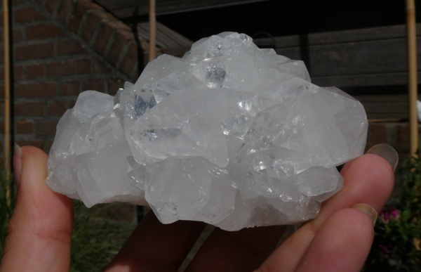 Apofyliet cluster 08
