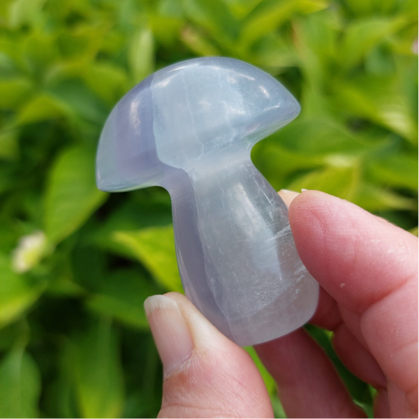 Lavendel fluoriet paddenstoel